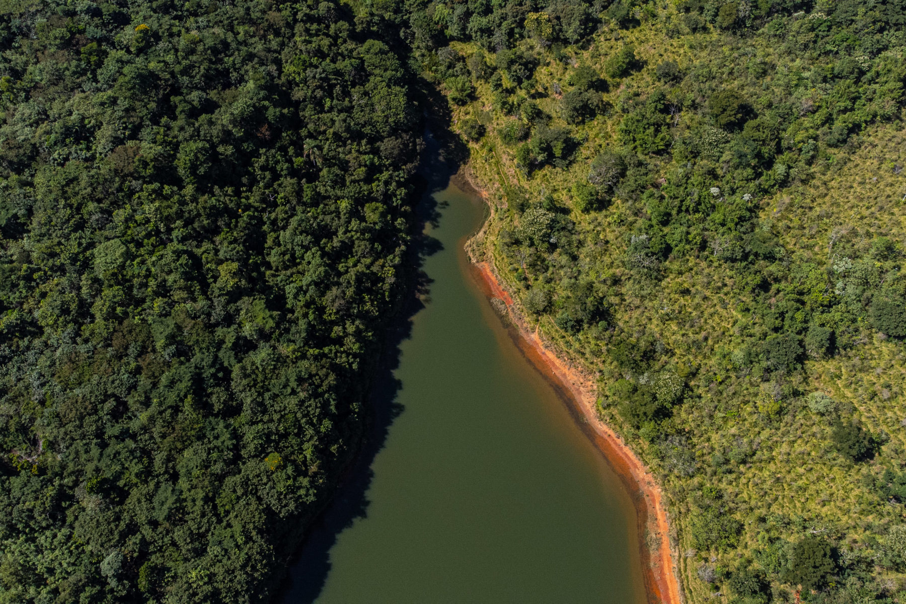 Waldgebiet in Brasilien. Rechts degradiert, links wiederaufgeforstet.
Foto: Lucas Ninno / Diálogo Chino
CC BY-NC-ND 4.0