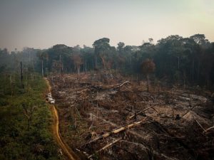 Gerodeter und abgebrannter Wald in der Gemeinde Apui im nordbrasilianischen Bundesstaat Amazonas. Foto: Bruno Kelly/Amazonia Real/Wikimedia, CC BY 2.0