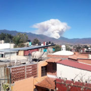 Tausende Hektar durch Waldbrände vernichtet