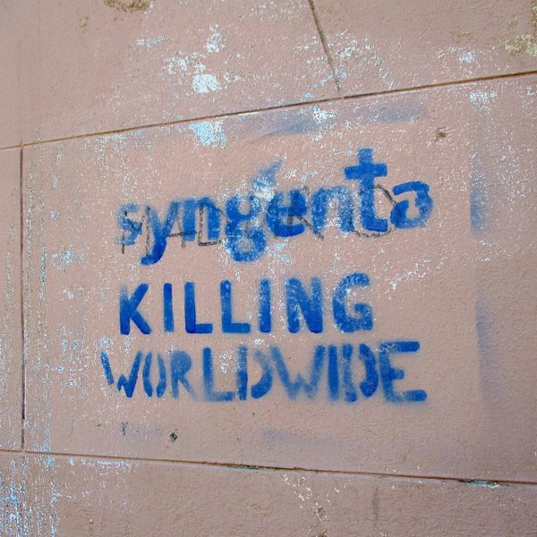 Graffiti: Syngenta tötet weltweit."
Der Chemiekonzern Syngenta operiert weltweit und steht auch international in der Kritik.
Foto: Paull.John via wikimedia
CC BY-SA 4.0 Deed