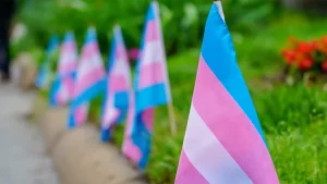 Transgender-Flaggen
Foto: Ted Eytan via Friedrich-Naumann-Foundation
Creative Commons