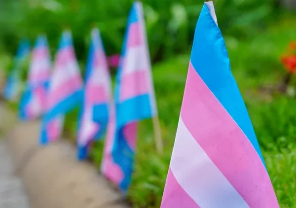 Transgender-Flaggen
Foto: Ted Eytan via Friedrich-Naumann-Foundation
Creative Commons
