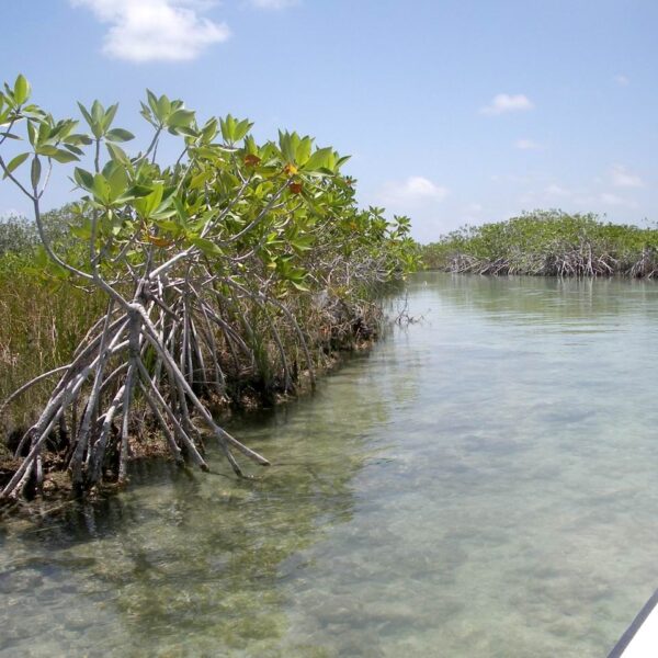 Biosphärenreservat Sian Ka’an in Quintana Roo
Foto: Tschips via wikimedia
CC BY-SA 3.0